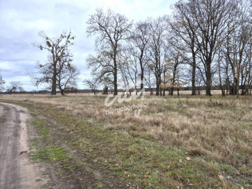 Działka Sprzedaż Łęgi